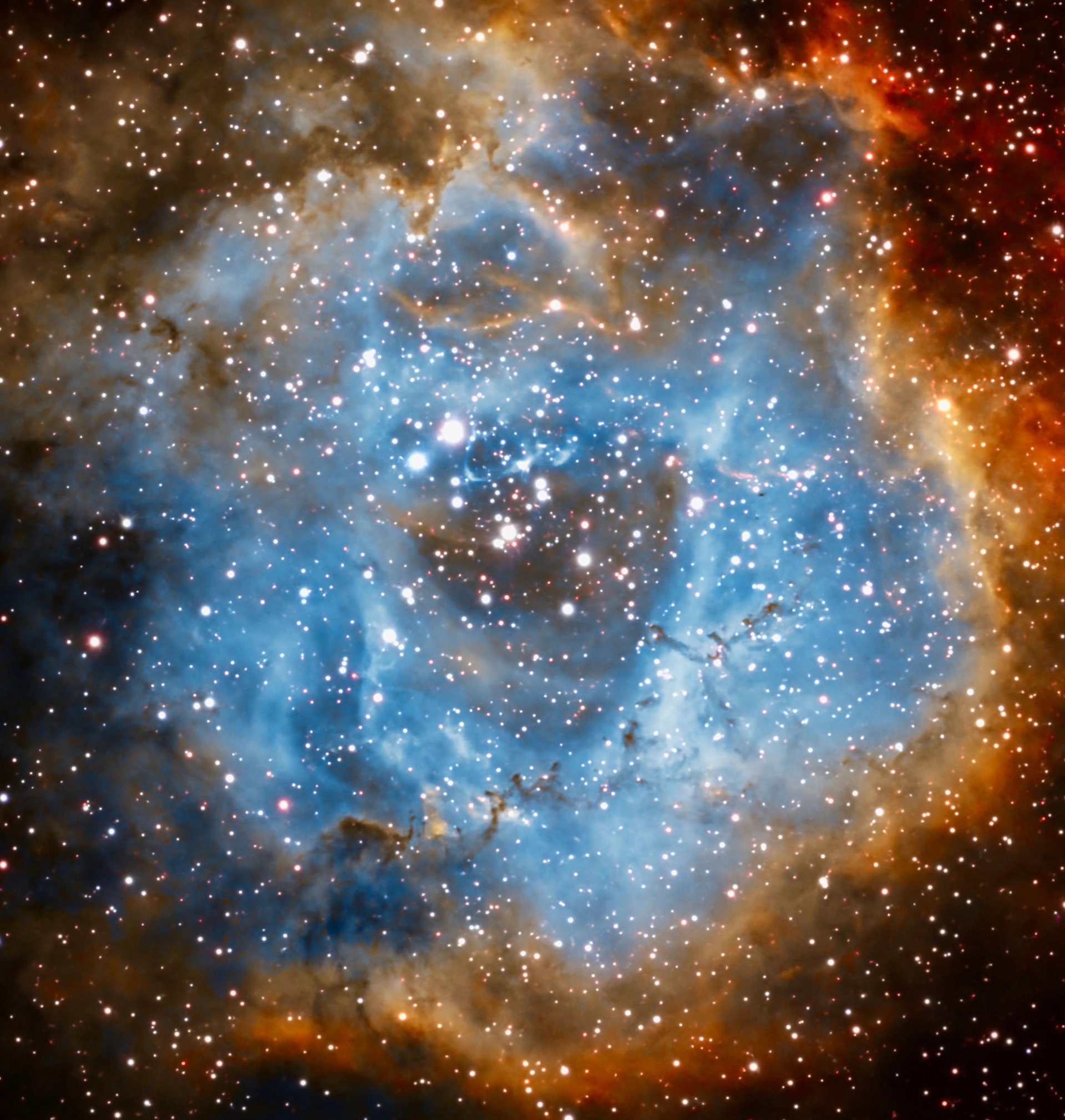 Rosette Nebula NGC 2244 Astrophotography